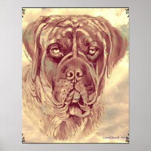 Brindle Mastiff Poster by Carol Zeock