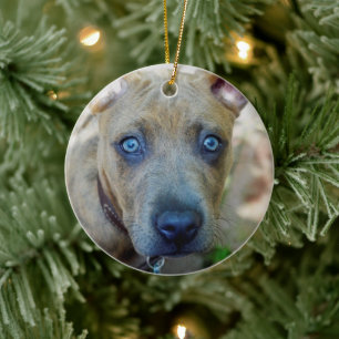 Brindle Pit Bull Puppy by Shirley Taylor Ceramic Ornament