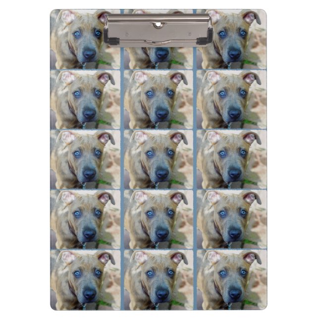 Brindle Pit Bull Puppy by Shirley Taylor Clipboard (Front)