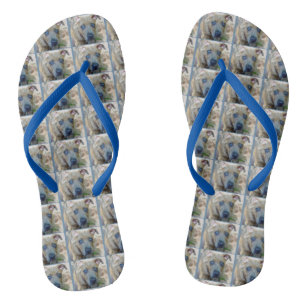 Brindle Pit Bull Puppy by Shirley Taylor Flip Flops