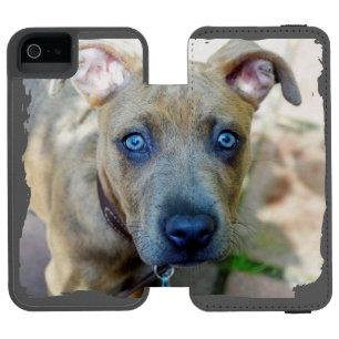 Brindle Pit Bull Puppy by Shirley Taylor Incipio Watson™ iPhone 5 Wallet Case