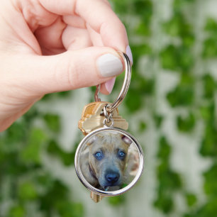 Brindle Pit Bull Puppy by Shirley Taylor Keychain