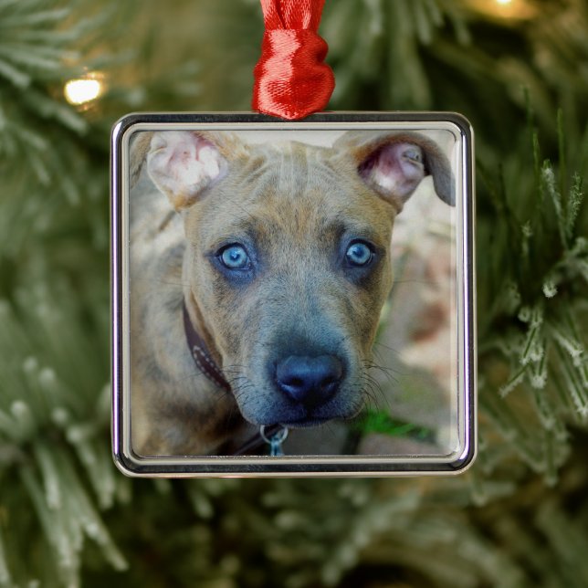 Brindle Pit Bull Puppy by Shirley Taylor Metal Ornament (Tree)