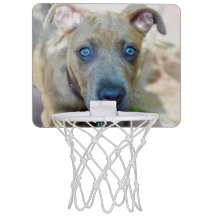 Brindle Pit Bull Puppy by Shirley Taylor