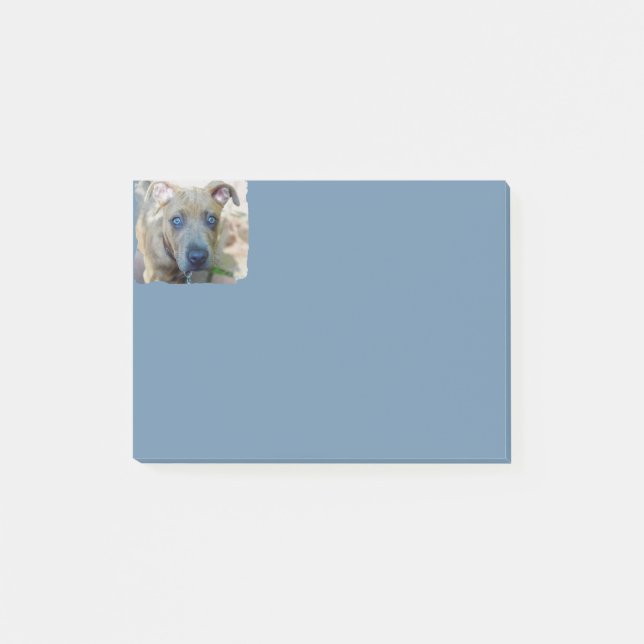 Brindle Pit Bull Puppy by Shirley Taylor Post-it Notes (Front)