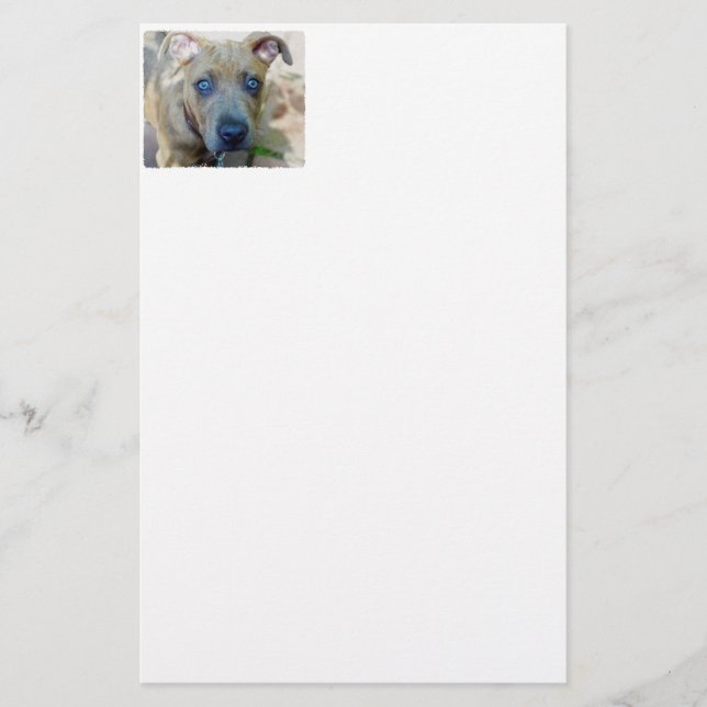 Brindle Pit Bull Puppy by Shirley Taylor Stationery (Front)