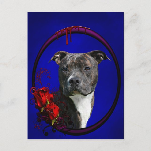 Brindle pitbull with roses postcard (Front)