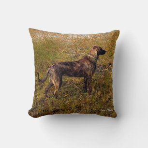 Brindle Plott Hound in Marsh Throw Pillow