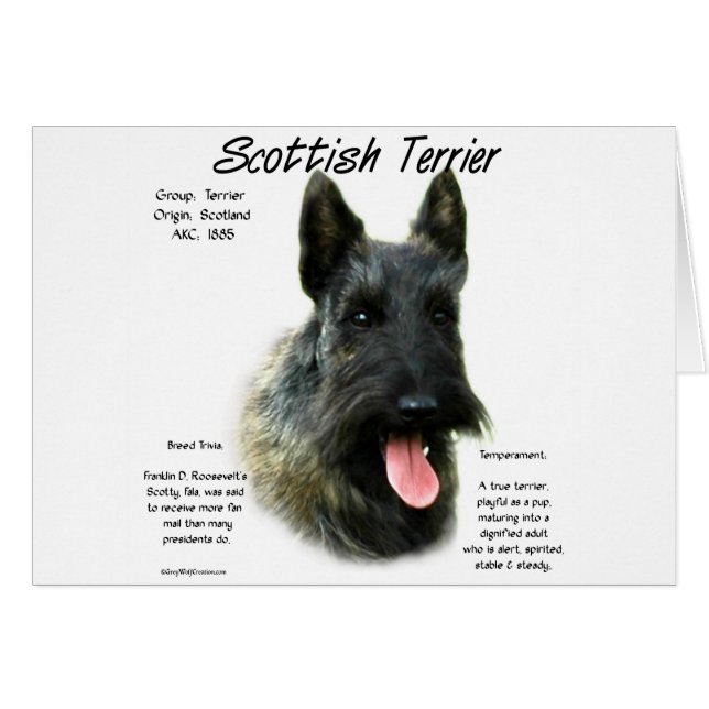 Brindle Scottish Terrier History  (Front Horizontal)