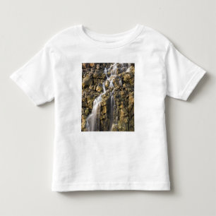 Brine falls from volcanic rock drop off toddler t-shirt