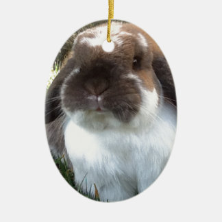 Bring some furriness into your life! ceramic ornament