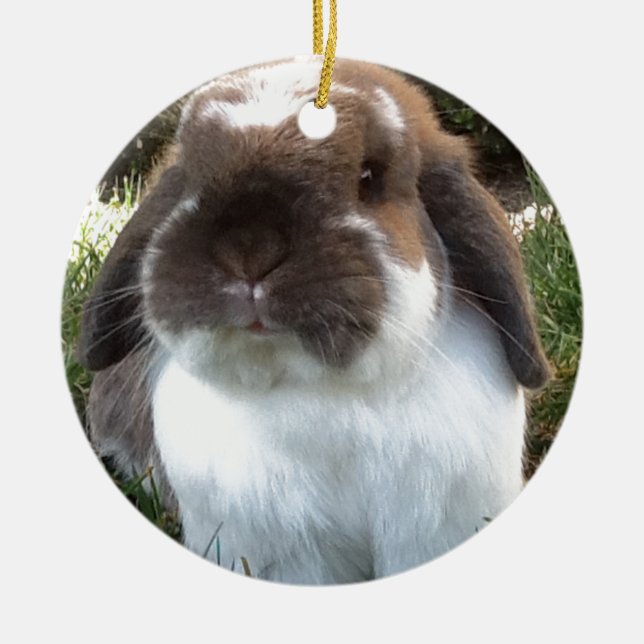 Bring some furriness into your life! ceramic ornament (Front)