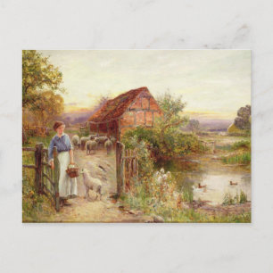 Bringing Home the Sheep Postcard