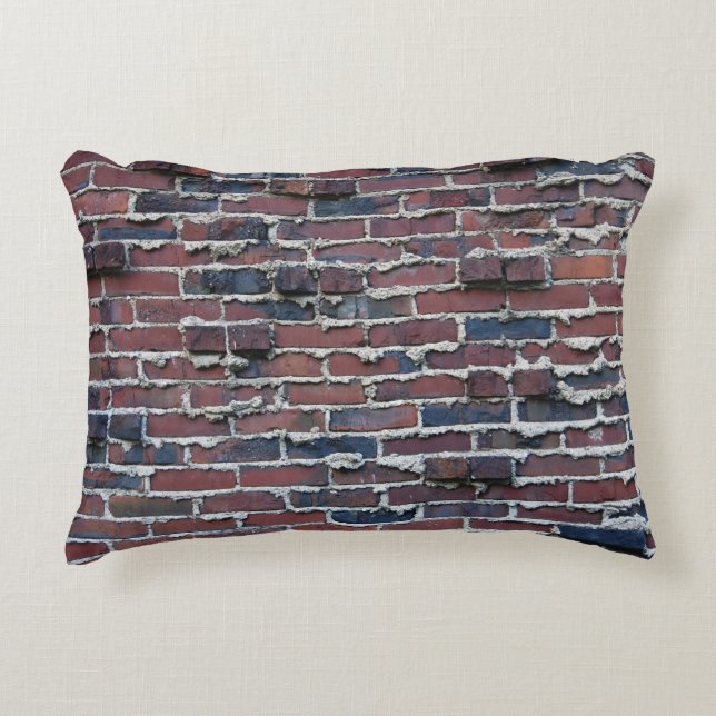 Brique de Clinker avec Coussin d'accentuation de m (Devant)