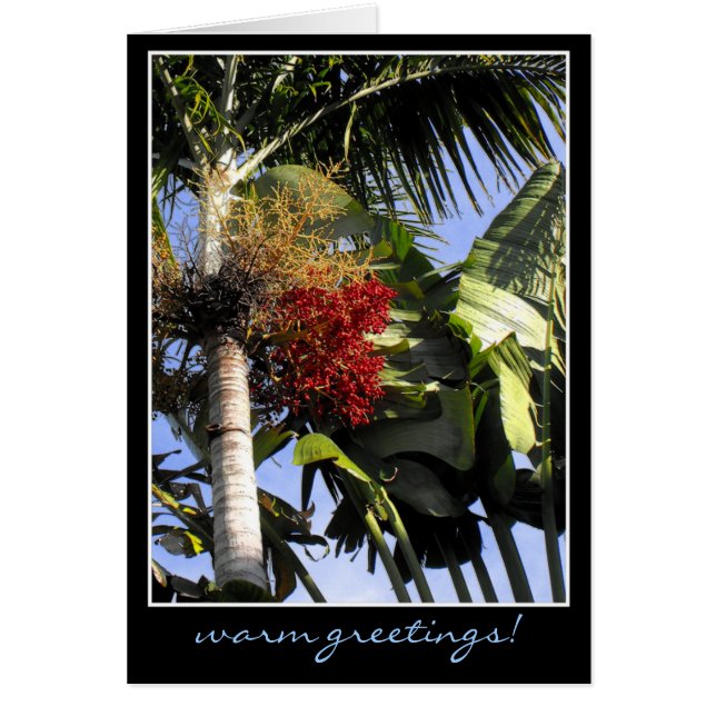 Brise tropicale (Devant)