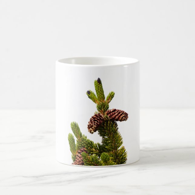 Bristlecone Pine Coffee Mug (Center)