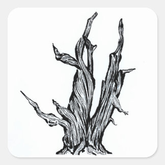 Bristlecone Pine Square Sticker