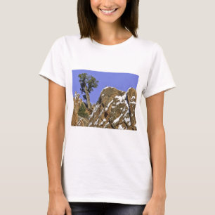 Bristlecone Pine T-Shirt