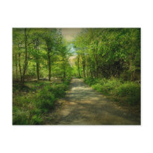 Bristol Avon Forest in Spring.