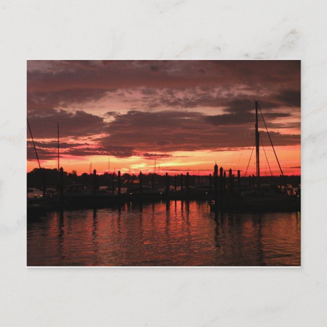 Bristol Rhode Island sunset Postcard (Front)