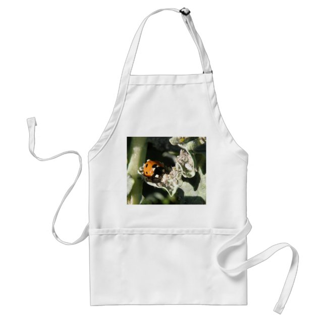 British 7 Spot Ladybug Apron (Front)