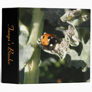 British 7 Spot Ladybug Custom Binder