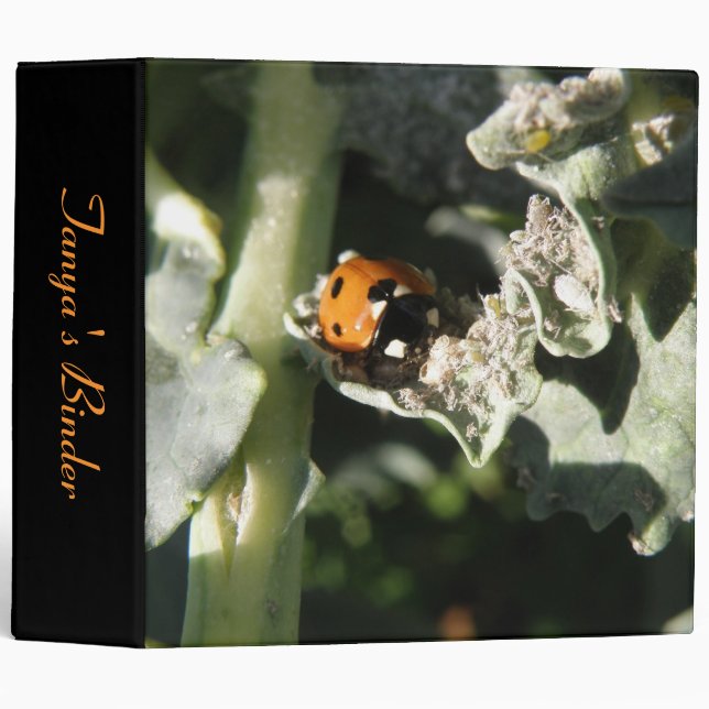 British 7 Spot Ladybug Custom Binder (Front/Spine)