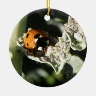 British 7 Spot Ladybug Custom Birthday Ceramic Ornament