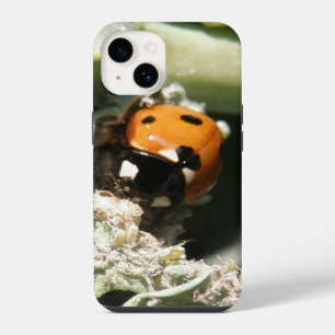 British 7 Spot Ladybug iPhone 14 Case