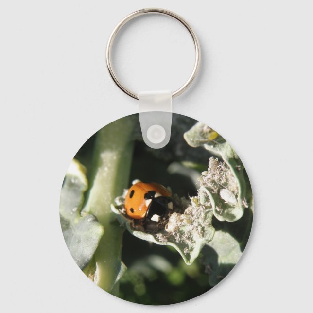 British 7 Spot Ladybug Keychain (Front)
