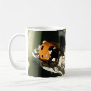 British 7 Spot Ladybug Mug