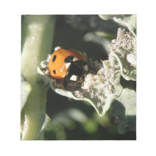 British 7 Spot Ladybug Notepad