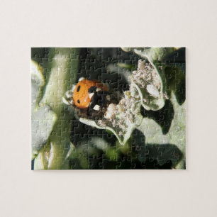 British 7 Spot Ladybug Puzzle