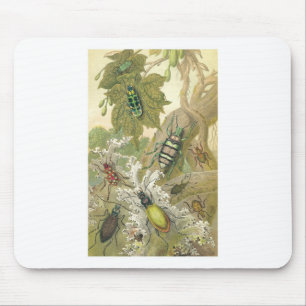British Beetles Mouse Pad