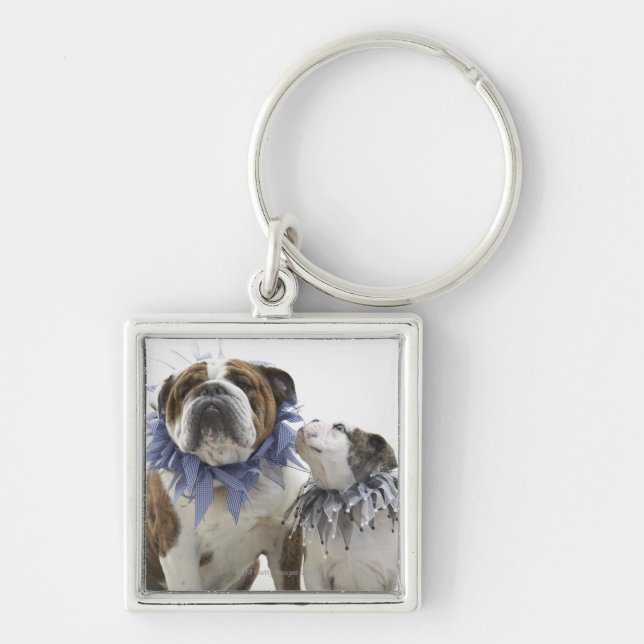 British bulldog and puppy wearing jester collar, keychain (Front)