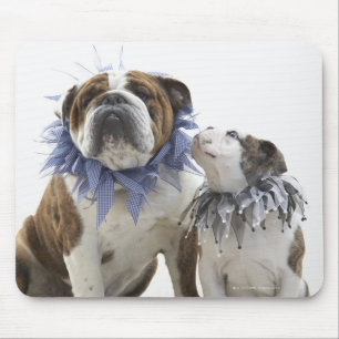 British bulldog and puppy wearing jester collar, mouse pad