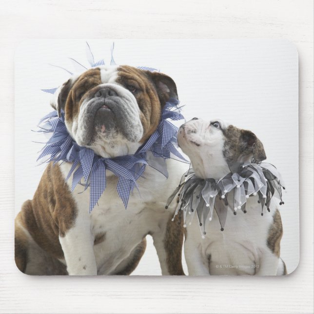 British bulldog and puppy wearing jester collar, mouse pad (Front)