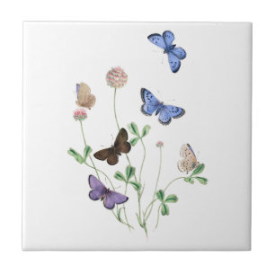 British Butterflies on Clover Ceramic Tile