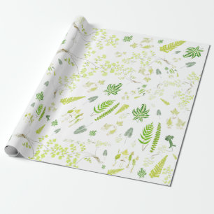 British Ferns in Victorian Drawings Wrapping Paper