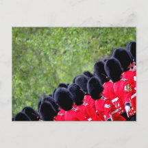 British Guardsman in London Postcard