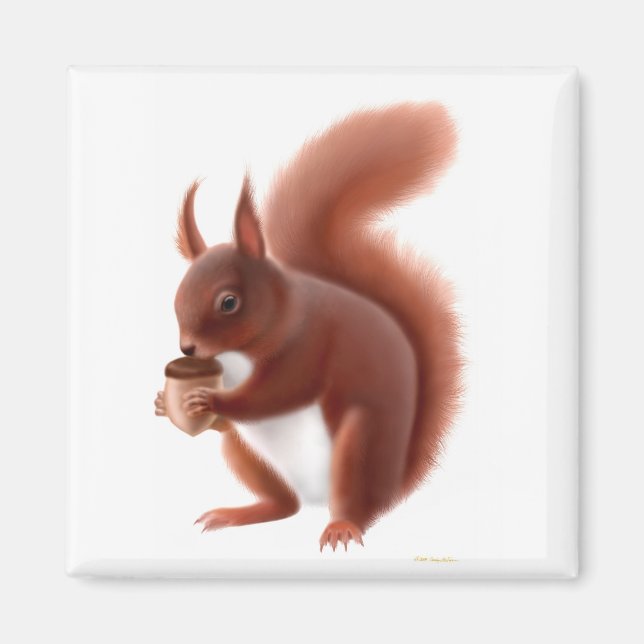 British Red Squirrel Magnet (Front)