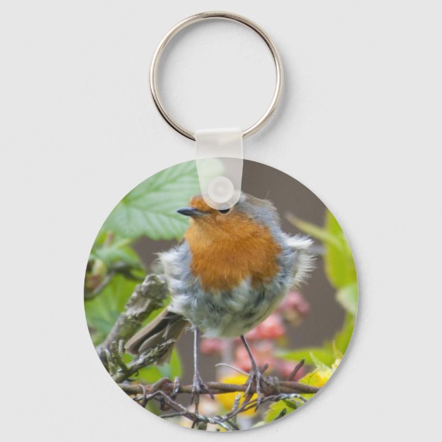 British Robin in Spring keychain (Front)