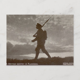 British Sentry Postcard