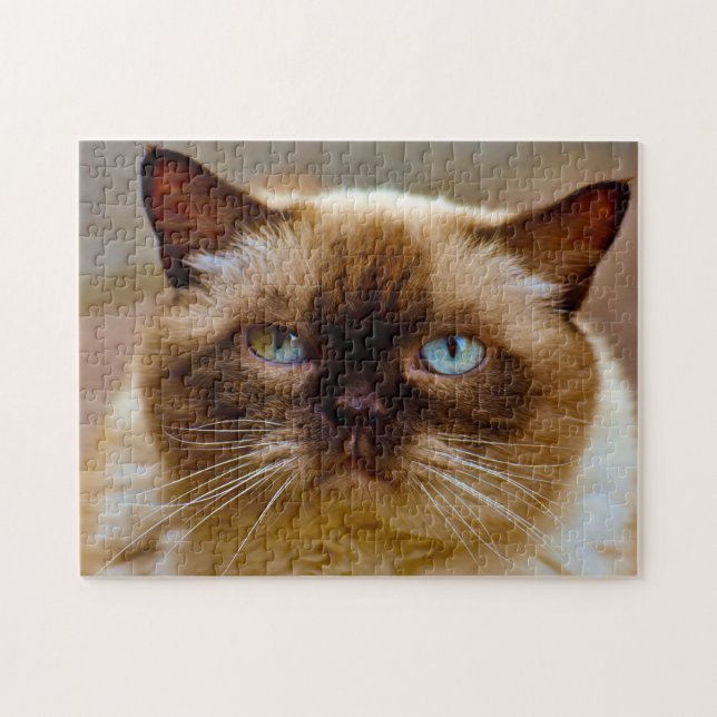 British Short Hair Cat. Puzzle de Jigsaw (Horizontal)