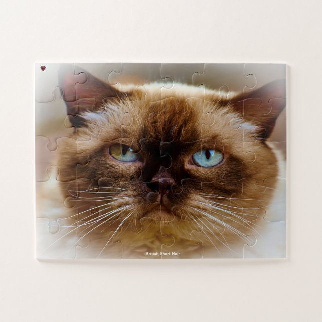 British Short Hair Jigsaw Puzzle (Horizontal)