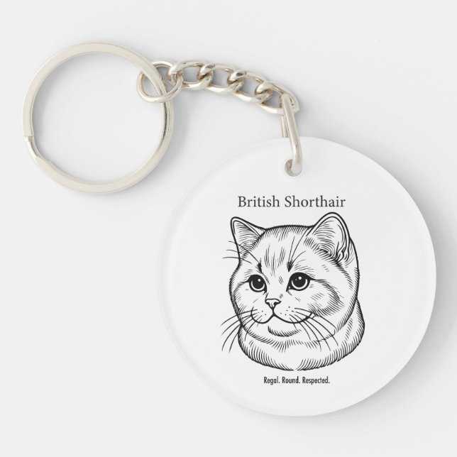 British Shorthair (Devant)
