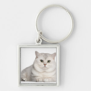 British Shorthair (2 years old) lying in front Keychain