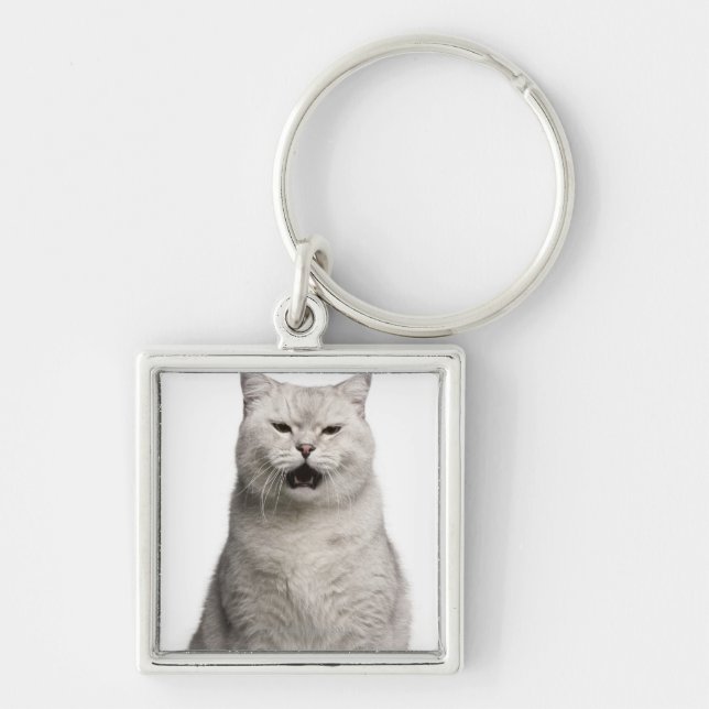 British Shorthair (4 years old) Keychain (Front)