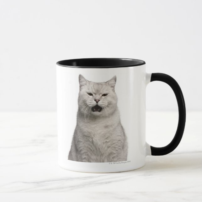 British Shorthair (4 years old) Mug (Right)