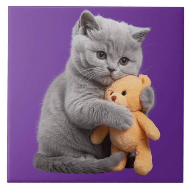 British Shorthair and Teddy Bear Decorative Tile (Front)
